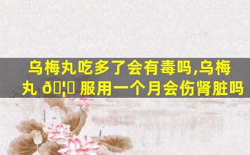 乌梅丸吃多了会有毒吗,乌梅丸 🦁 服用一个月会伤肾脏吗